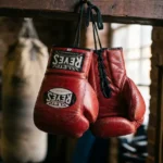 Cleto Reyes Boxing Gloves used by professional fighters in training
