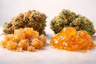Cured Resin vs Live Resin comparison showing differences in flavor, aroma, texture, and effects